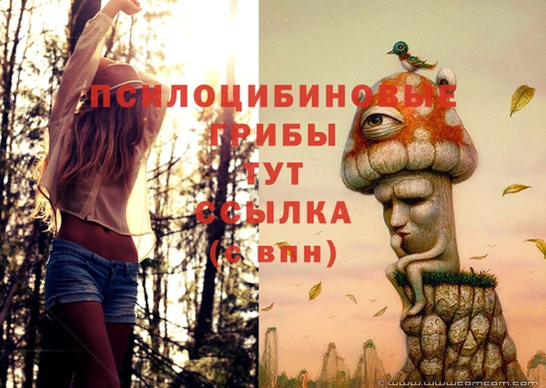 mix Абинск